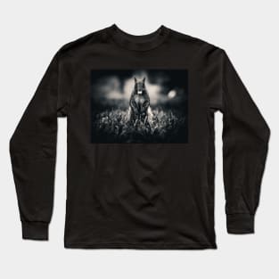 Squirrel Collecting Nuts Photograph Long Sleeve T-Shirt